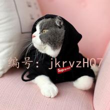 㶫ʡ