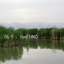ҵ